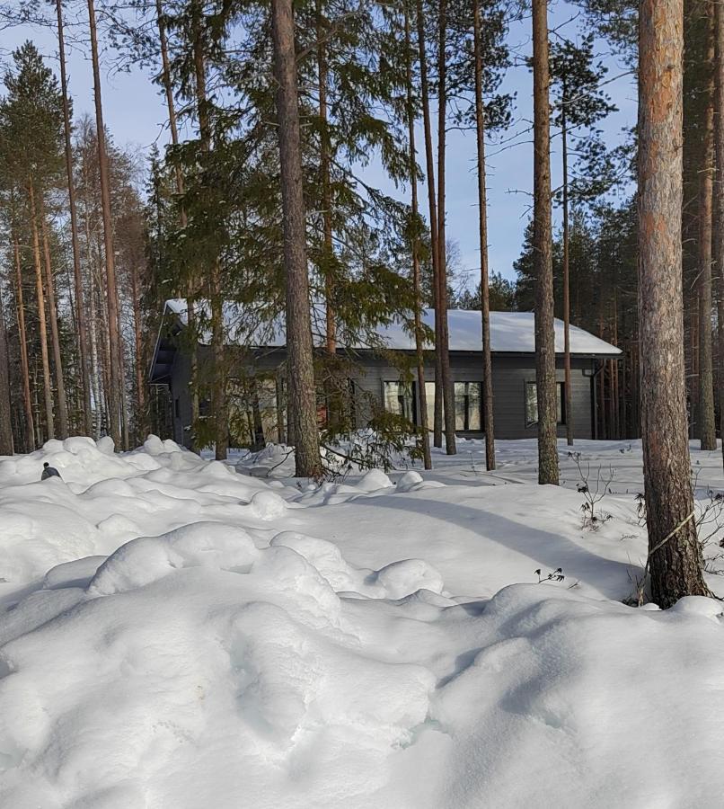 Norvalisma Villa Rovaniemi Exterior photo